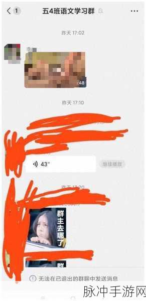 朴妮唛不雅：朴妮唛不雅言行引发的社会热议与反思