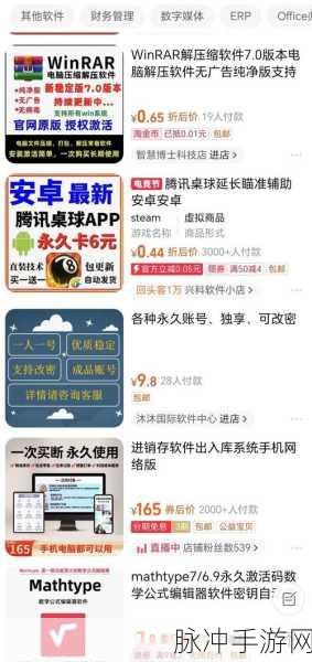 十大禁用软件：十大禁用软件大揭秘：为何它们不可或缺？