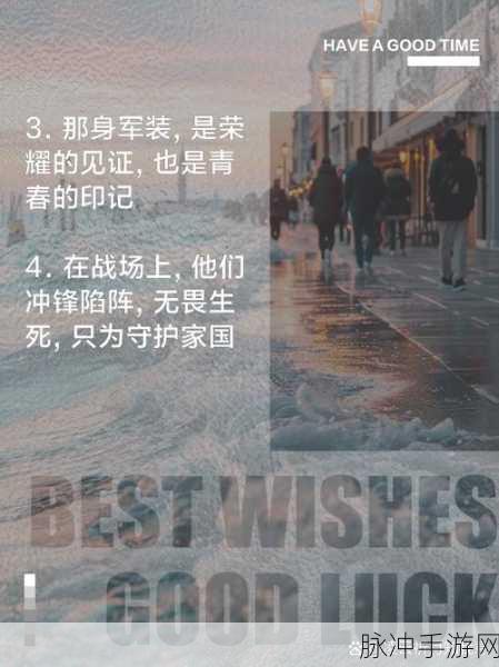 老兵召回计划：呼唤荣耀：全面提升老兵召回计划新策略