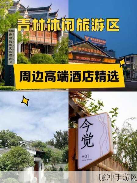 太久回家网址：探索家乡之美，尽享返乡旅途的乐趣与温馨体验！