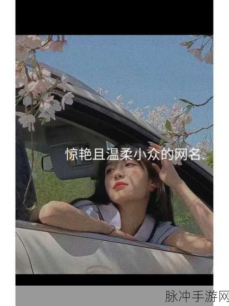 汤姆影院最新地域网名取名技巧：拓展汤姆影院：创意地域网名取名技巧分享与实践指南