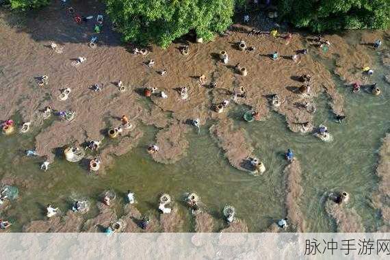 青娱乐官方极品视觉盛宴：探索青娱乐官方打造的极致视觉盛宴，感受前所未有的视听享受！