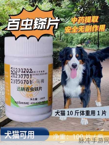 人狗胶配方大全狗狗：全面解析人狗胶的多种配方，助力爱犬健康成长