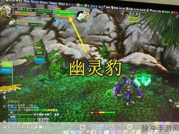 魔兽世界盆地灵魂兽：魔兽世界：探索盆地灵魂兽的神秘传说与挑战