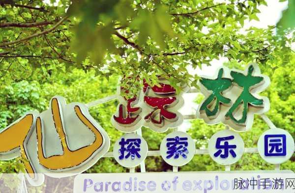 幼儿仙踪林的特色与评价：幼儿仙踪林的独特魅力与综合评价分析