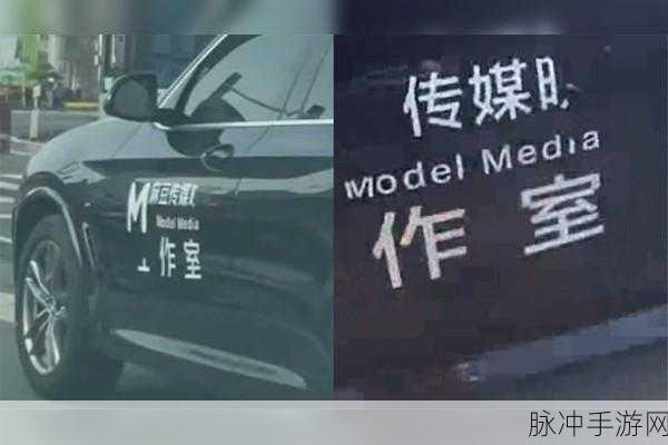 嘛豆传禖网址：拓展嘛豆传禖网址，畅享无限精彩与乐趣！