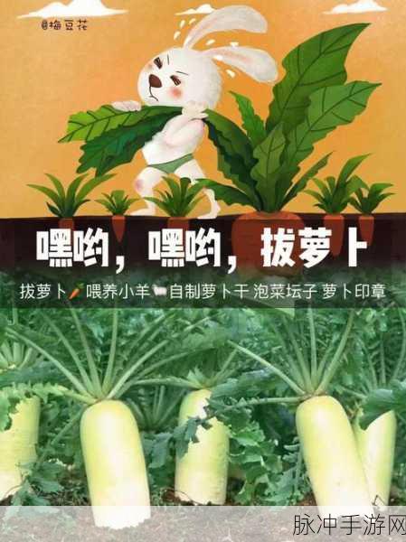 男女床上拔萝卜：男女情趣游戏：床上拔萝卜的甜蜜挑战与乐趣