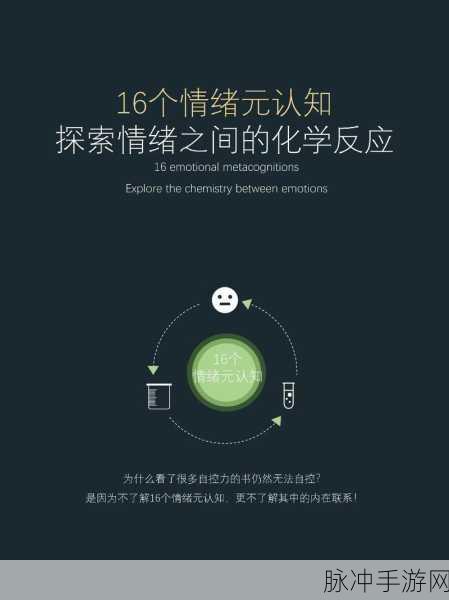 17c.16：“探索17c.16的深层含义与应用前景”