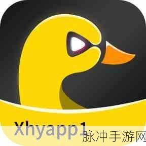 黄污软件大全免费：全面解析黄污软件工具大全，免费下载与使用指南