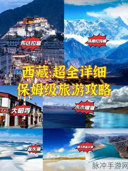 www.96533：探索96533：开启你的便捷生活新体验之旅！