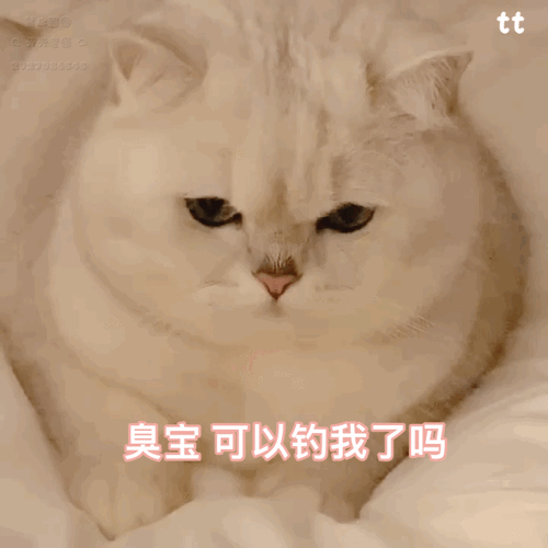 51热门今日大瓜最新消息视频：今日娱乐新动态：51热门大瓜视频揭秘最新内幕！