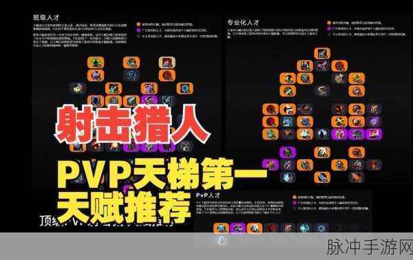 怀旧服射击猎人pvp天赋加点：怀旧服射击猎人PVP天赋加点解析与推荐策略