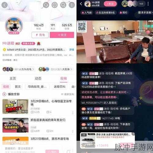 b站转播404入口：全新体验：拓展B站转播404入口的多元化选择与功能