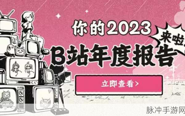 b站2023年推广入口：“2023年B站全新推广入口策略与优化方案分析”