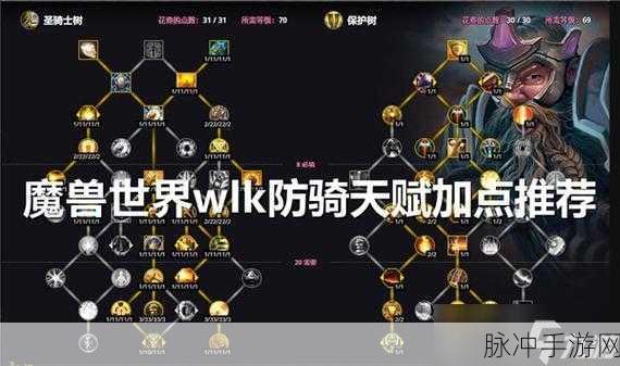 惩戒骑天赋WLK：全面解析惩戒骑天赋在WLK中的最佳搭配与应用