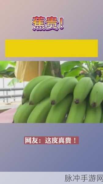香蕉    APP人口：拓展香蕉：打造全民参与的创意交流平台