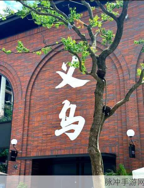 亚洲精品一二：探索全新体验：从一到二的精彩旅程