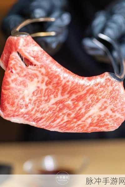 全肉变态调教高辣小说：极限肉欲：禁忌调教下的狂野快感探险