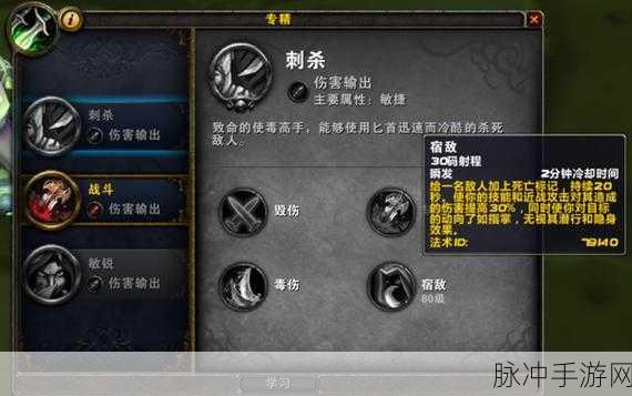 刺杀贼 技能 触发毒药：刺杀贼技能解析：触发毒药的致命策略与应用