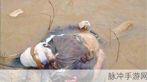 缅甸恐怖网址www免费：缅甸恐怖网站资源分享与安全访问指南全解析