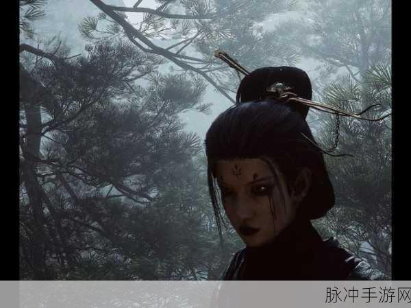 四妹未优化：四妹未优化：探索其潜在价值与应用前景