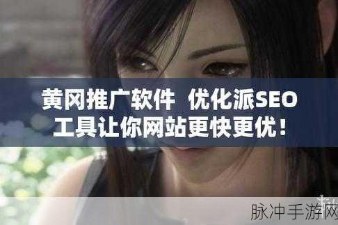 国外黄冈网站推广软件免费：免费推广国外黄冈网站的高效软件推荐与使用指南