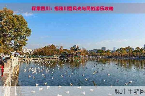 四川XXXXXLMEDJYF：四川XXXXXLMEDJYF：探索川蜀文化与现代生活的完美结合