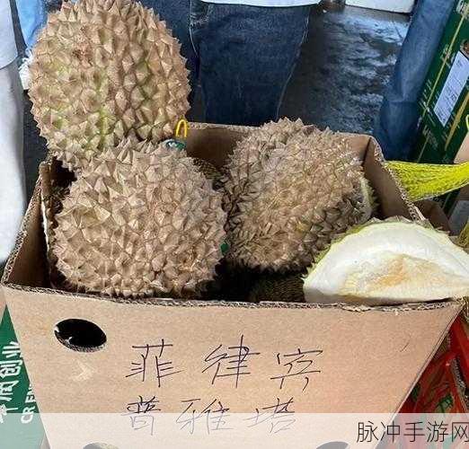 九·幺9.1：“探寻九·幺9.1的深层次文化与历史意义”