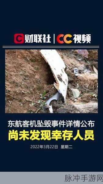 东航坠机原因为什么不公布：东航坠机原因未公布的深层次考量与影响分析