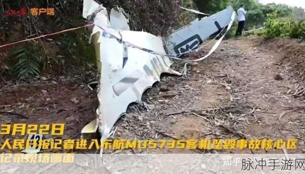 东航坠机原因为什么不公布：东航坠机原因未公布的深层次考量与影响分析