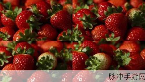 草莓视频高清：畅享高清草莓视频带来的视听盛宴与娱乐体验