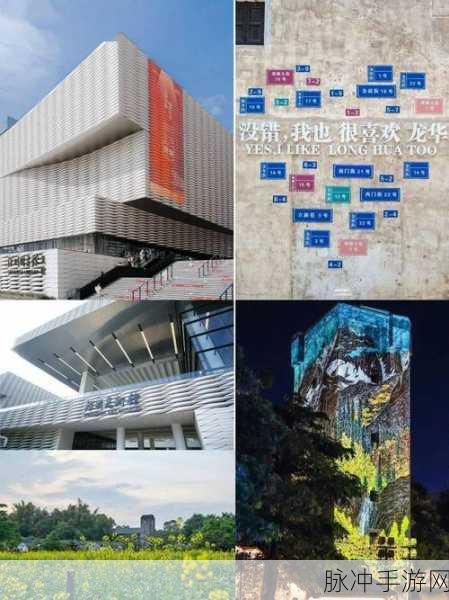 色一匹二区三区四区：色彩的拓展与探索：从一区到四区的艺术之旅
