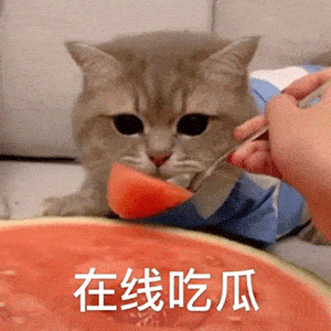 51吃瓜网今日吃瓜资源：“今日最新吃瓜资源，带你解锁娱乐圈新鲜动态！”