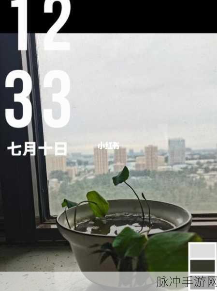 506宿舍灯灭了小莲：宿舍506灯光熄灭，小莲的夜晚变得不同寻常