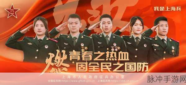 招回老兵2024：2024年招募老兵计划：重返战场，共筑辉煌未来