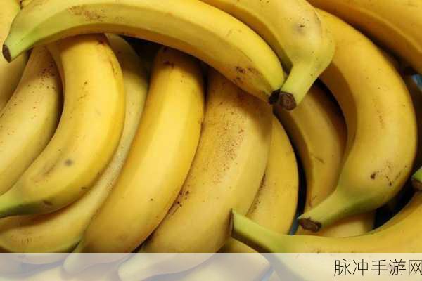 香蕉视频有码频道：探索更多精彩内容：香蕉视频有码频道全新上线！