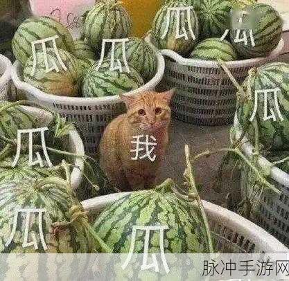 五一吃瓜网黄色：“五一假期吃瓜网热潮：揭秘最受欢迎的娱乐八卦”