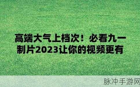 九一视频传媒：拓展九一视频传媒：打造全新视听体验，连接你我他。