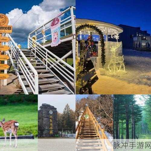 伊春园直达入口官网：探索伊春园直达入口官网，畅享自然与文化之美