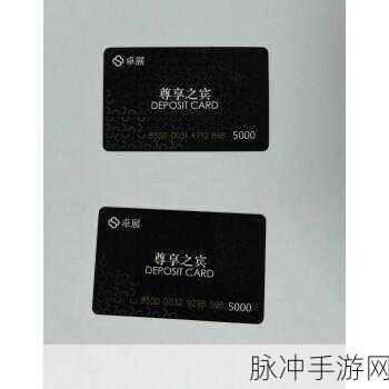 国内精品卡一卡二卡三：国内高端精品卡市场的全新发展趋势与前景探索