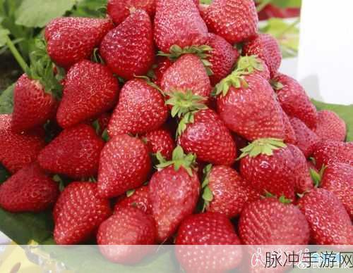 草莓视频69cm.TV：探索草莓视频69cm.TV：畅享高清视频与无限乐趣！