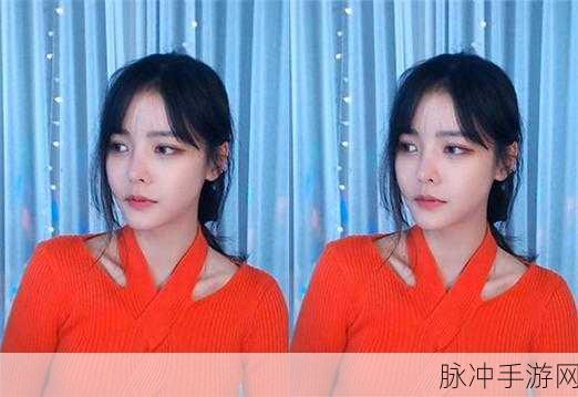 麻豆精品乱码一二三区别：解析麻豆精品乱码一二三区的区别与特点详解