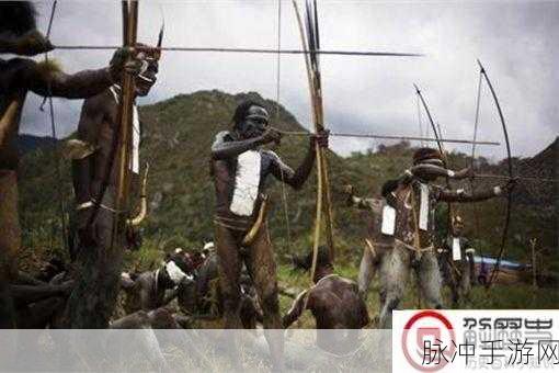 非洲人性功能强大跟什么有关？：探讨非洲人性功能强大的多重因素及其影响