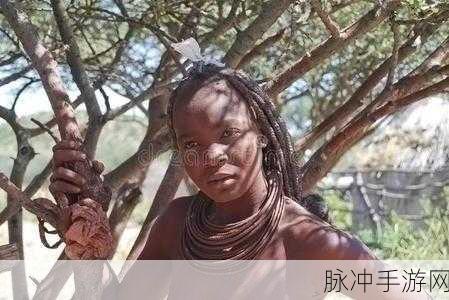 非洲人性功能强大跟什么有关？：探讨非洲人性功能强大的多重因素及其影响