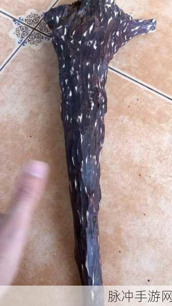 从校服衣袖看到葡萄的图片：从校服衣袖的细节中发现葡萄般生动的色彩与纹理