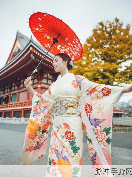 日本不卡一：探索无阻的日本文化之旅，尽享无限精彩体验！