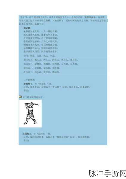 七十二招式视频：七十二招式全解析：武学精髓与实战运用技巧