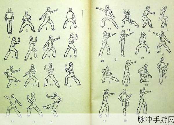 七十二招式视频：七十二招式全解析：武学精髓与实战运用技巧