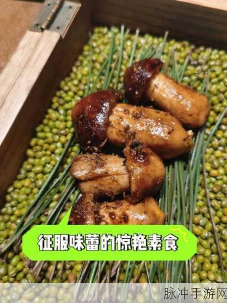 黑瓜吃料：黑瓜新吃法：尝试多样创意搭配，让味蕾惊喜！