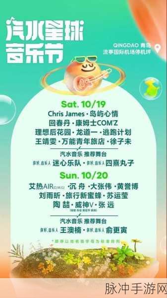 汽水音乐推广授权申请的流程是什么？：拓展汽水音乐推广的授权申请详细流程解析